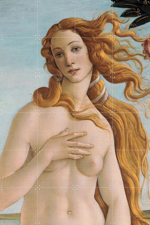The Birth of Venus (detail)