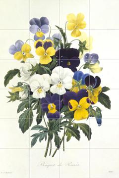 IXXI - Viola Tricolor by Pierre Joseph Redoute & Natural History Museum