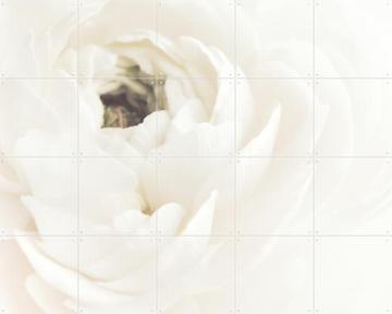 'White Flower 02' van 1x Studio II