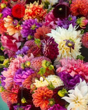 'Dhalias' par Margriet Hulsker