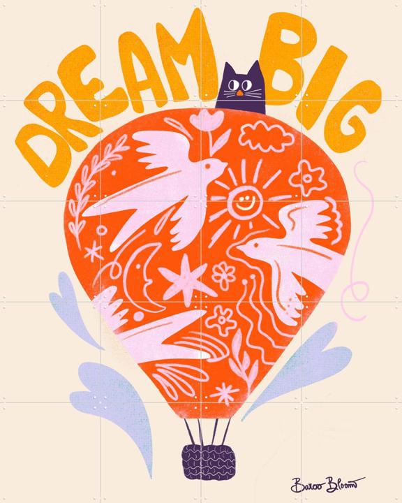 Dream Big Hot Air Balloon