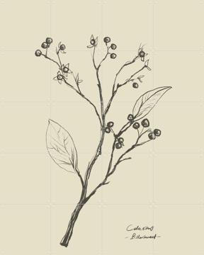 'Floral 2' by Dan Hobday