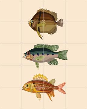 'Tre Pesci' by Lotte Snoek