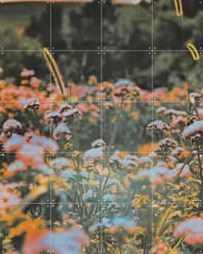 'How Sweet It Is' by Amber Lauder