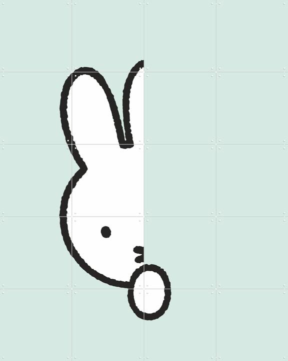 Nijntje Verstoppertje Mint Groen