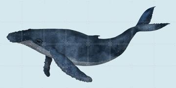 'Whale' par Merel Corduwener