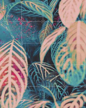 'Seek' by Amber Lauder