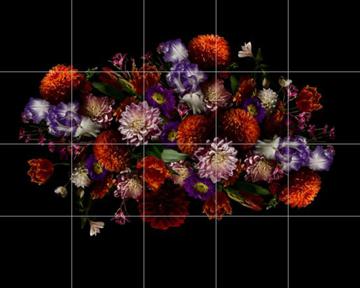 IXXI - Flower Explosion by Sander van Laar 