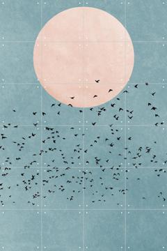 IXXI - Fly Away by Kubistika 