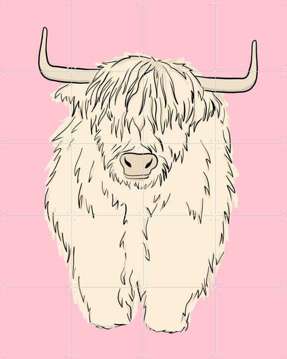 Pink Highland Cow