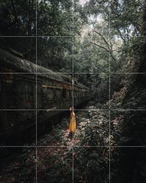 'Forest' von Tristan Zhou