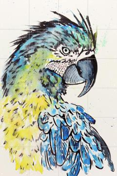 IXXI - The Blue Macaw Parrot by Natalie Bruns 