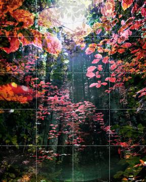 'Enchanted' von Angelo Cerantola