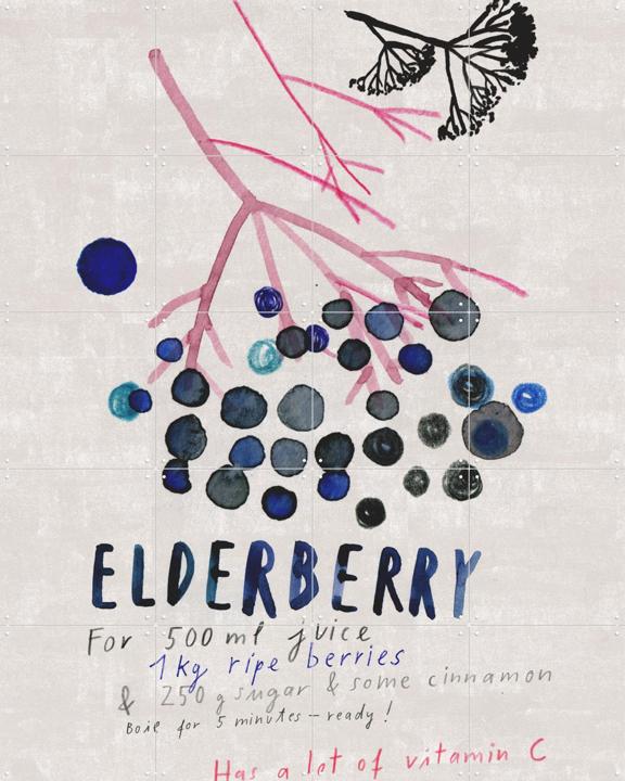 Elderberry