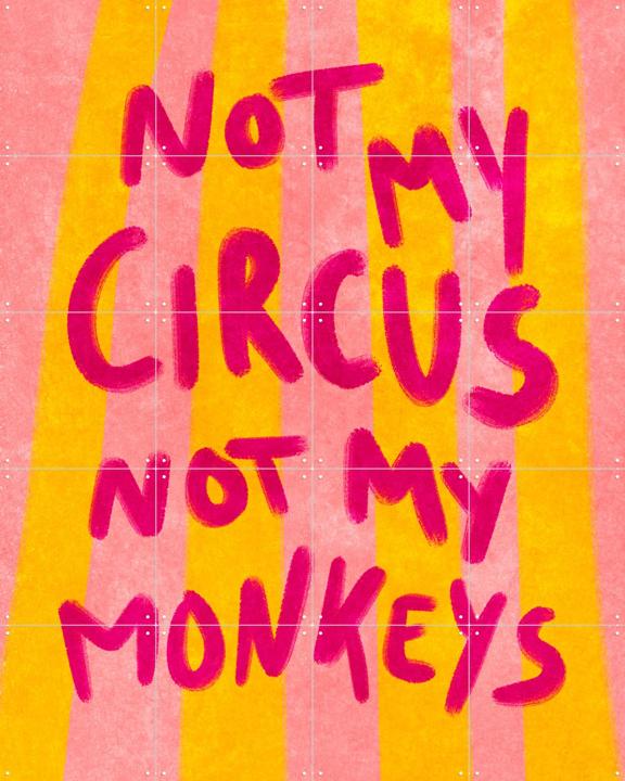 Not My Circus Not My Monkeys