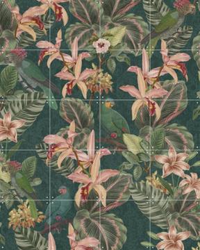 'Jungle Parrots Midnight Garden' by Bloomery Decor