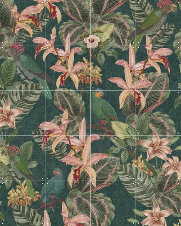 Jungle Parrots Midnight Garden