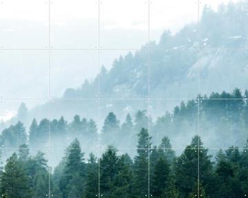 'Foggy Evergreen Forest In The Mountains' by Claire Droppert