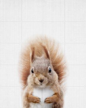 'Squirrel' von Lila + Lola