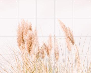 IXXI - Pampas Grass by Ingrid Beddoes 
