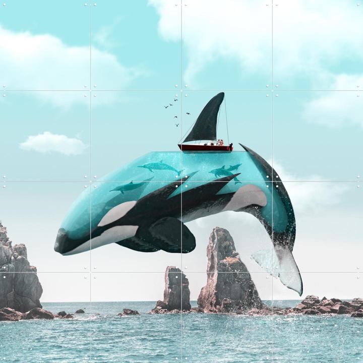 Aqua Orca