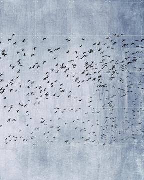 'Moving On - Blue ' von Kubistika