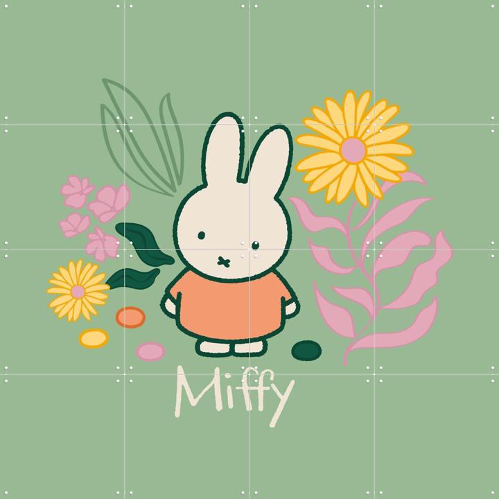 Miffy Nature