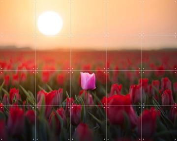 'Dutch Rebels Dreamer' van Claire Droppert