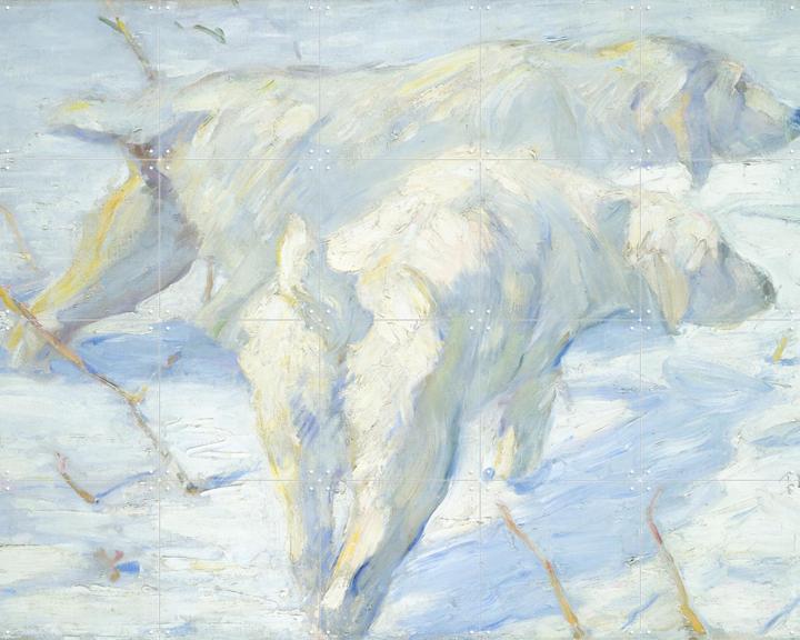 Siberian Dogs in the Snow 1909