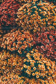 'Autumn Flowers' van Pati Photography