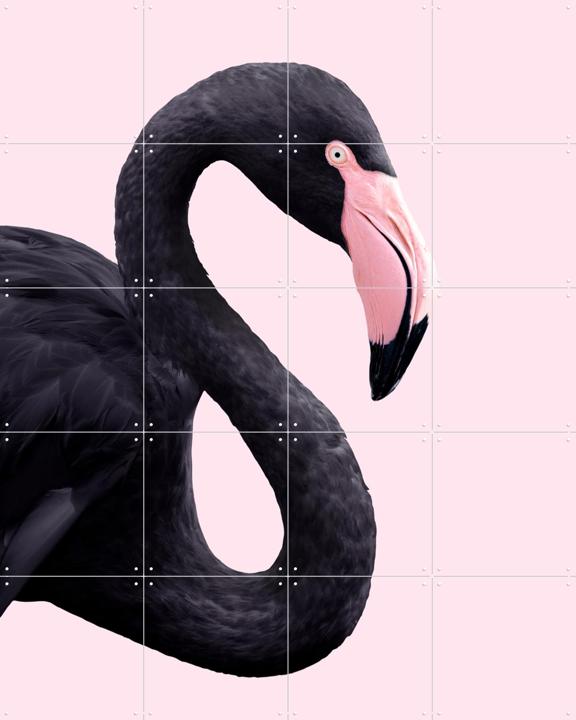Black Flamingo