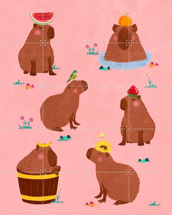 Capybara Collage