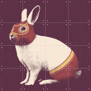 'Rabbit' van Florent Bodart