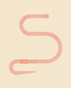 'The Earthworm' von Studio Kars + Boom