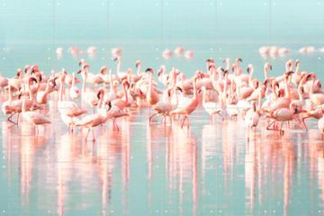 IXXI - Flamingos by Lila + Lola 