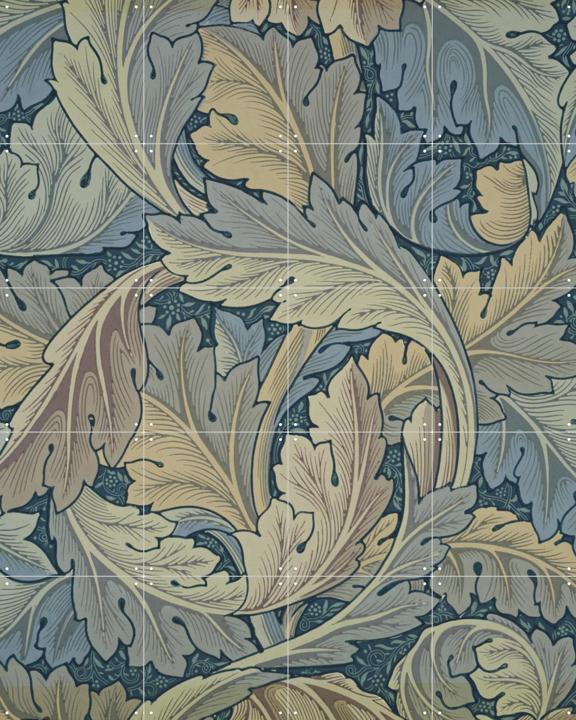 Acanthus blue