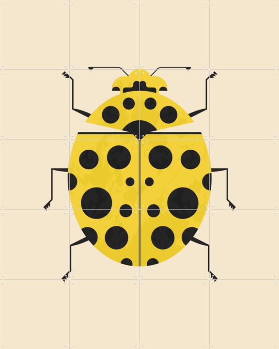 The Lemon Ladybird