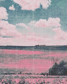 'Better Days' by Amber Lauder