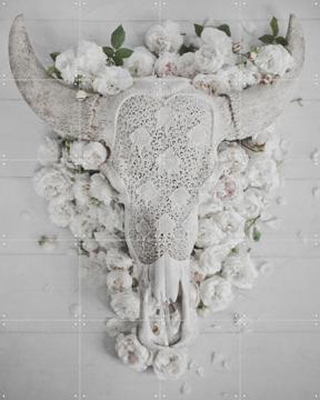 'Bohemian Skull' von STUDIO HANNAH LEMHOLT