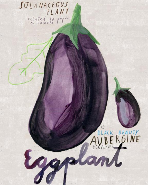 Eggplant