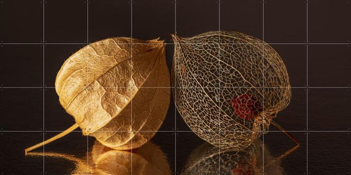 Panorama fragiel samenzijn -  kwetsbaar en broos maar nog zo gelukkig samen 