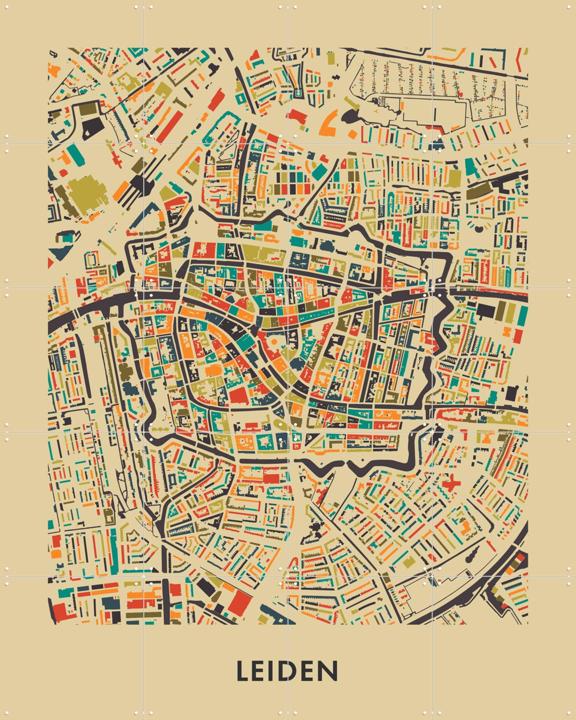 Leiden Mosaic Map