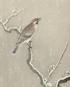 IXXI - Bird on a snowy branch by Ohara Koson & Rijksmuseum