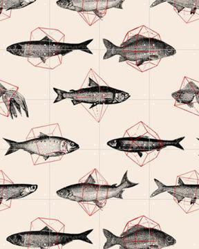 IXXI - Fishes in Geometrics door Florent Bodart 