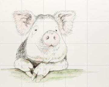 IXXI - Happy Pig by Natalie Bruns 
