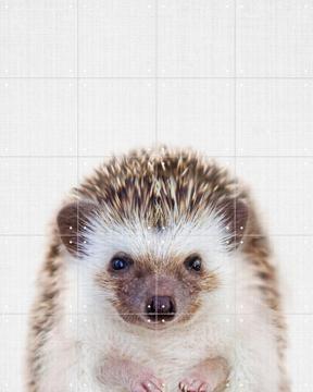 IXXI - Print 357 Hedgehog by Lila + Lola 