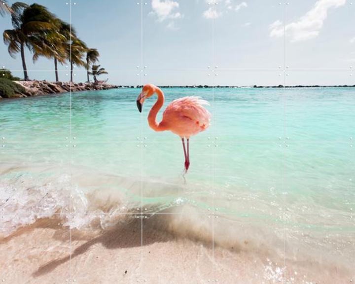 Flamingo Series Crystal Clear
