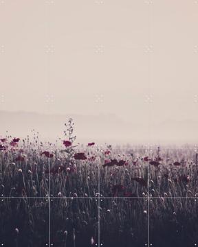 'Poppy Study 03' von STUDIO HANNAH LEMHOLT