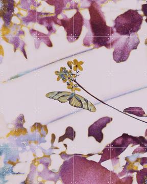 'For The Better' by Amber Lauder