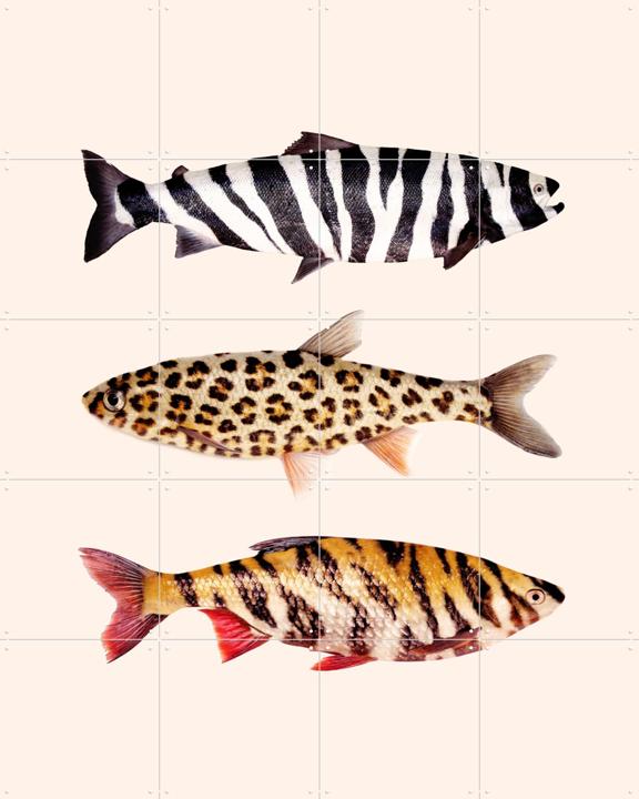 Fish Prints